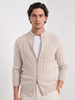 Cable Knit Cardigan Men Slim Fit Button Front Crew Neck
