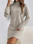 Wivi | Women's Ribbed Turtleneck Sweater Dress