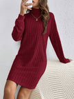 Wivi | Women's Ribbed Turtleneck Sweater Dress