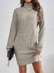 Wivi | Women's Ribbed Turtleneck Sweater Dress
