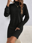 Wivi | Women's Ribbed Turtleneck Sweater Dress