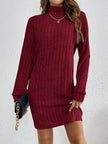 Wivi | Women's Ribbed Turtleneck Sweater Dress