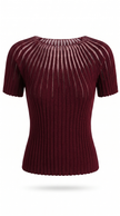 Knit Top Women Short Sleeve Semi-Sheer Crew Neck
