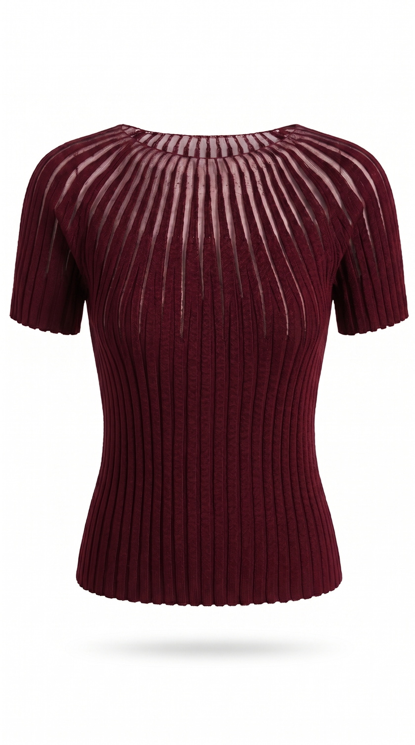 Knit Top Women Short Sleeve Semi-Sheer Crew Neck